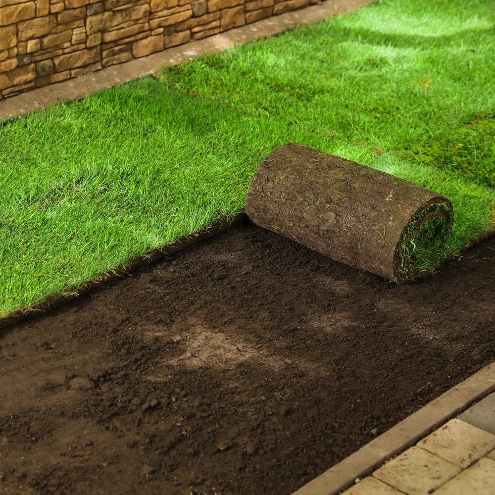 Planting and Sod Installation